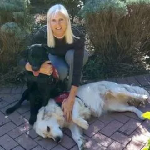 Marcia Hadeler, Realtor at Coldwell Banker Brokers of the Valley